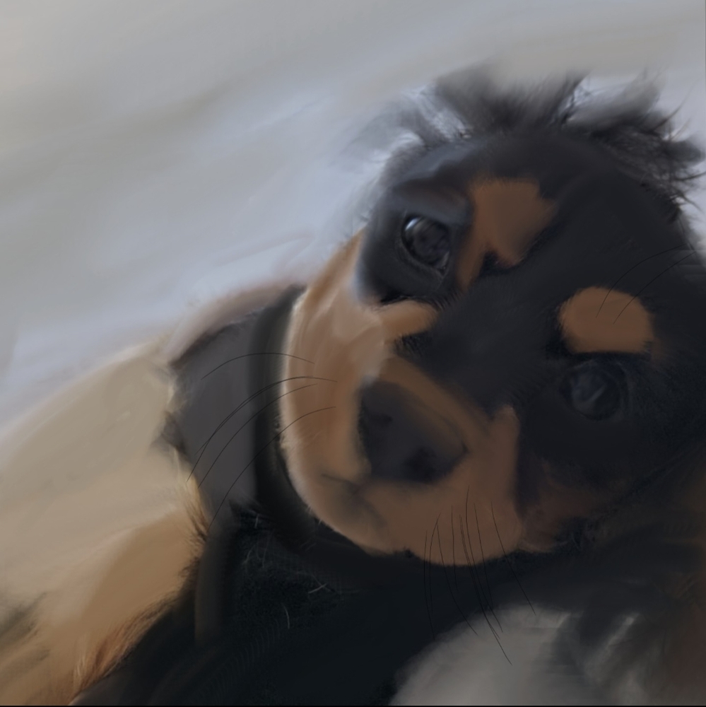 Custom dog print